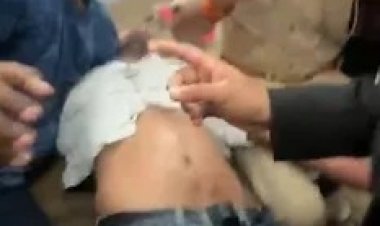 थाने में दरोगा की मार से अधमरा हुआ वकील, देखें VIDEO