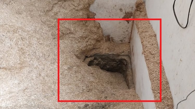 एटीएम में कैश डालने निकले कर्मचारी ने किया 5.26 करोड़ रुपये का गबन; एक इंस्पेक्टर, दो आरक्षक सहित 6 लोग गिरफ्तार