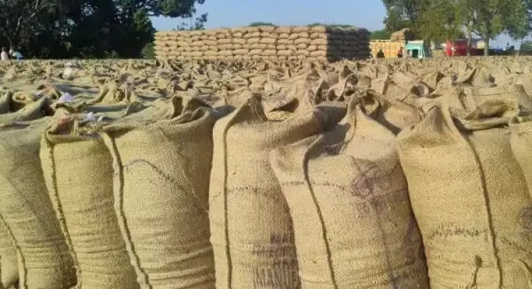 इस धान खरीदी केन्द्र में करोड़ों का घोटाला, समिति प्रबंधक, कम्प्यूटर ऑपरेटर और भृत्य के खिलाफ अपराध दर्ज