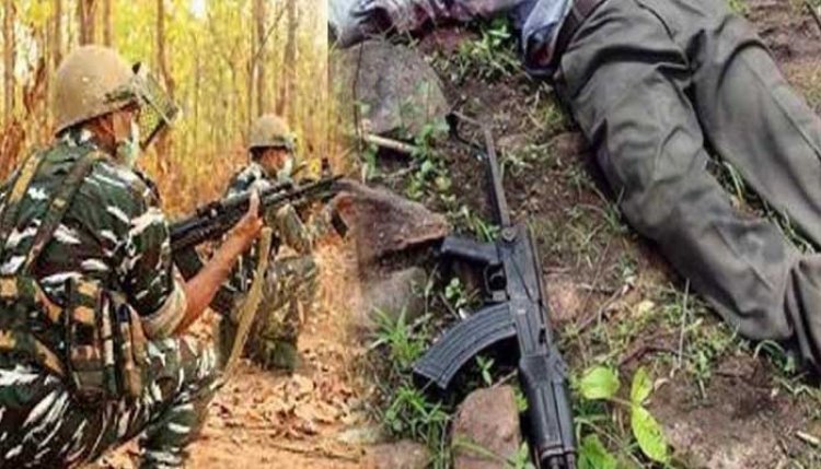 कोबरा कमांडो और पुलिस से मुठभेड़ में एक करोड़ के इनामी समेत 8 नक्सली ढेर