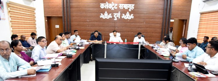 दुर्ग कलेक्टर ने पटवारियों की लापरवाही पर की अनुशासनात्मक कार्रवाई, इन दो पटवारियों की रोकी गई वेतनवृद्धि 