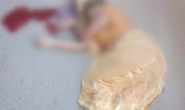 मॉर्निंग वॉक पर निकले चार लोगों को कार ने कुचल दिया, एक महिला की मौत, तीन गंभीर