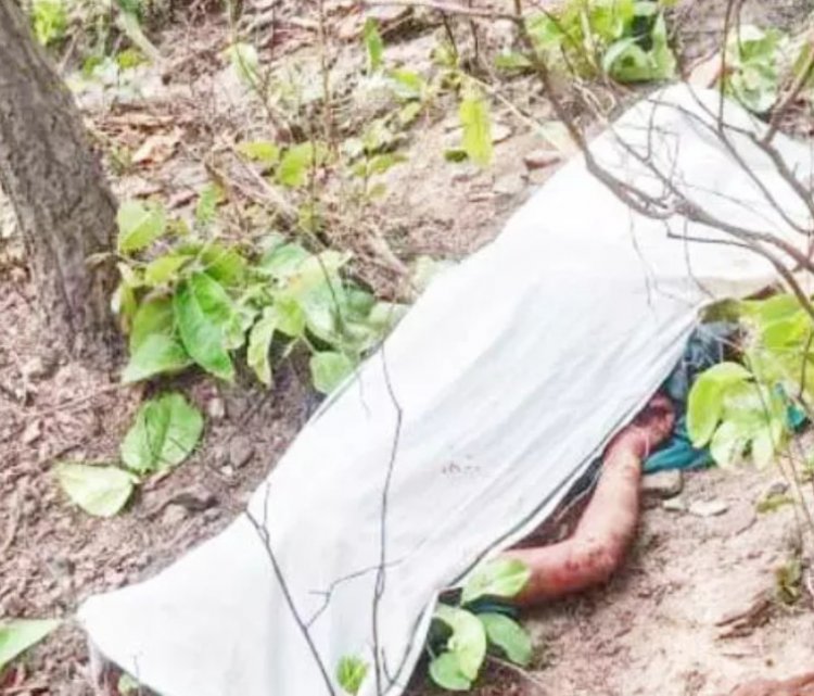 भालू के हमले से तेंदूपत्ता तोड़ने गई महिला की मौत