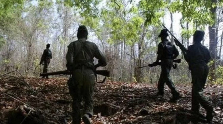 छत्तीसगढ़ में जवानों और नक्सलियों के बीच मुठभड़े में अब तक 20 नक्सलियों के मारे जाने की खबर