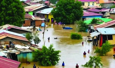 उत्तर-पूर्वी राज्यों में बाढ़ से 30 लोगों की मौत