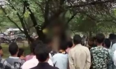 पेड़ पर लटकी मिली युवक-युवती की लाश