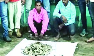 करोड़ों रुपए मूल्य के पैंगोलिन की खाल बरामद, दो आरोपी गिरफ्तार