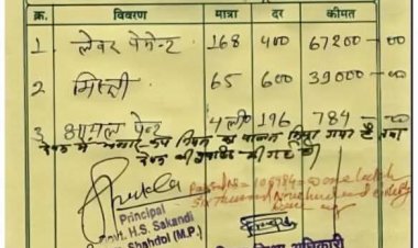 गजब का घोटाला, स्कूल में 4 लीटर के रंगाई-पुताई के लिए लगे 168 मजदूर और 65 मिस्त्री, 1.06 लाख रुपए भुगतान भी हो गया