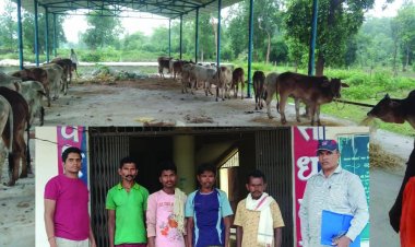 10 साल से सक्रिय अंतरराज्यीय गौ-तस्करी गिरोह का भंडाफोड़,  4 आरोपी 34 मवेशियों को क्रूरता से ले जाते पकड़े गए, जानिए कैसे पुलिस ने दबोचा