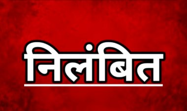 रीपा योजना में गड़बड़ियों पर बड़ी कार्रवाई: तीन पंचायत सचिव निलंबित, जनपद सीईओ को नोटिस