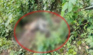 पूर्व विधायक के भाई जयपाल सिंह सिदार की सड़ी-गली लाश बरामद, इलाके में सनसनी