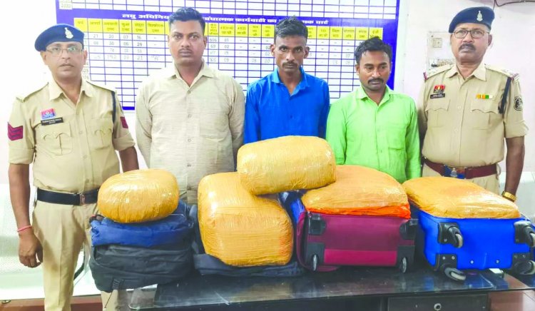 रायपुर रेलवे स्टेशन में ड्रग्स डीलिंग का पर्दाफाश, बिहार के 3 तस्कर 48 किलो गांजा के साथ गिरफ्तार