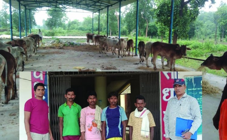 10 साल से सक्रिय अंतरराज्यीय गौ-तस्करी गिरोह का भंडाफोड़, 4 आरोपी 34 मवेशियों को क्रूरता से ले जाते पकड़े गए, जानिए कैसे पुलिस ने दबोचा