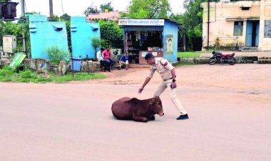 खबर का असर: दुर्ग जिले में मवेशी मालिकों पर बड़ी कार्रवाई, 36 लोगों पर 50 हजार का बाउंड ओवर