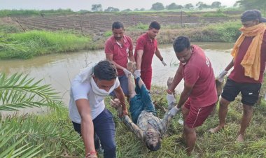 दुर्ग: नहर में बहे बुजुर्ग का SDRF ने किया रेस्क्यू, शव बरामद