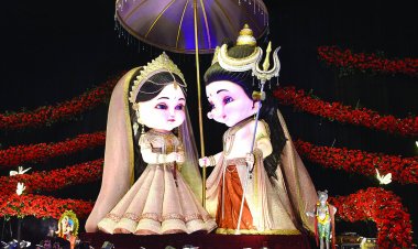 गणेशोत्सव समिति पर FIR दर्ज, प्रतिमा विवाद और अश्लील गीत बजाने के आरोप