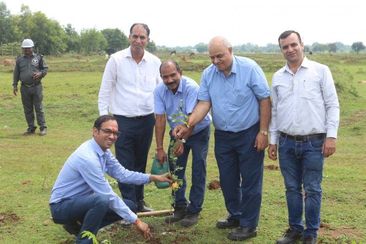 जेके लक्ष्मी सीमेंट लिमिटेड में एक पेड़ माँ के नाम अभियान के तहत वृहत वृक्षारोपण पखवाड़ा