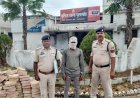मोबाइल लूट मामले में फरार आरोपी गिरफ्तार, पुलगांव पुलिस की कार्रवाई