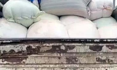 ओडिशा से छत्तीसगढ़ लाया जा रहा था धान, 400 बोरा समेत ट्रक जब्त