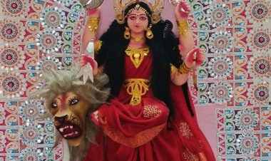 हुडको में जगतधात्री पूजा कल