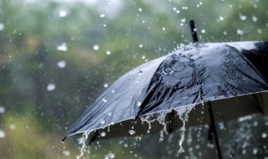 छत्तीसगढ़ में ‘मोन्था’ चक्रवात का असर शुरू, कई जिलों में बारिश के साथ बढ़ी ठंड