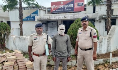 मोबाइल लूट मामले में फरार आरोपी गिरफ्तार, पुलगांव पुलिस की कार्रवाई