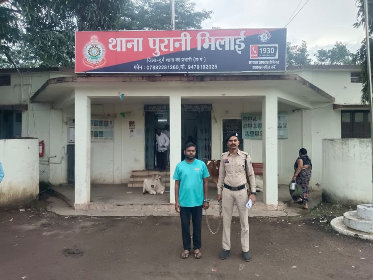 भिलाई में महिला को AI वीडियो से ब्लैकमेल कर वसूले 8 लाख, आरोपी गिरफ्तार