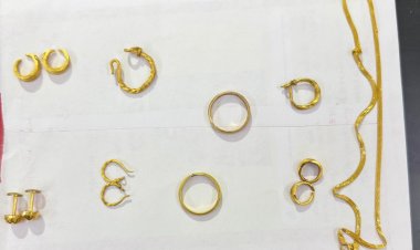 घरेलू नौकरानी ने अलमारी से उड़ाए सोने के जेवर, गलवाकर बनवाए नए गहने, 6 लाख का सामान जब्त