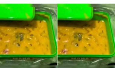 मिड डे मील में चूहा मिला, 460 स्कूलों की सप्लाई रोक | बड़ी लापरवाही का खुलासा