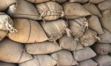 रायगढ़ में बड़ी कार्रवाई 23 कोचियों से 4583 क्विंटल अवैध धान जब्त, कीमत 1.47 करोड़ से ज्यादा