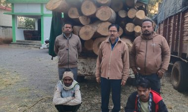 दुर्ग जिले में प्रतिबंधित कहुआ प्रजाति के लकड़ी परिवहन करते 5 वाहन जब्त, 10 ड्राइवर व हेल्पर पर कार्रवाई