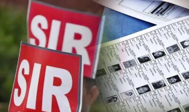 छत्तीसगढ़ में बढ़ी SIR की समय सीमा, अब 18 दिसंबर तक जमा होंगे गणना पत्रक