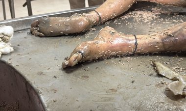 महादेव-त्रिशूल और नामों के गोदने से पहचान की कोशिश, शरीर पर लगे कीड़े, सुपेला अंडरब्रिज के पास मिली अज्ञात महिला की लाश