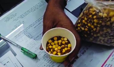 कपड़ा रंगने वाले केमिकल से रंगा जा रहा भुना चना, 30 टन माल जब्त