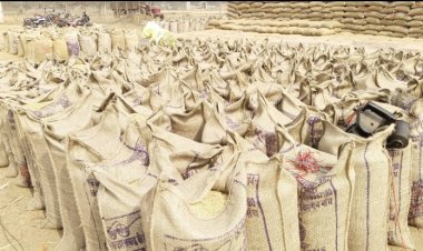 धान खरीदी नीति का उल्लंघन करने पर प्राधिकृत अधिकारियों ने समिति प्रभारियों को किया निलंबित