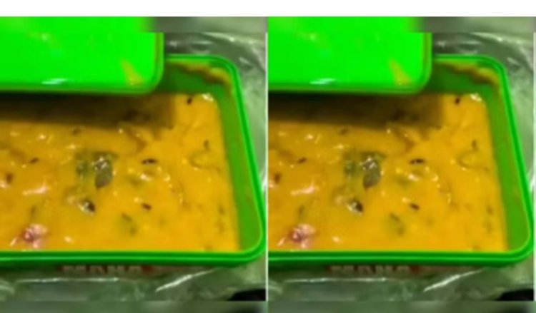 मिड डे मील में चूहा मिला, 460 स्कूलों की सप्लाई रोक | बड़ी लापरवाही का खुलासा