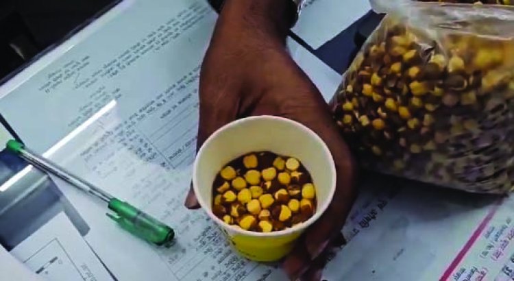 कपड़ा रंगने वाले केमिकल से रंगा जा रहा भुना चना, 30 टन माल जब्त