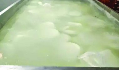 रायपुर में 1700 किलो नकली पनीर सहित 4.76 लाख का माल जब्त, भाठागांव के गोदाम में FDA की बड़ी कार्रवाई