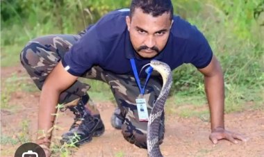 एम्बुलेंस-कार से गांजा तस्करी, सांप रेस्क्यू वाला निकला गांजा तस्करी का मास्टरमाइंड, महासमुंद में 8 करोड़ का गांजा जब्त