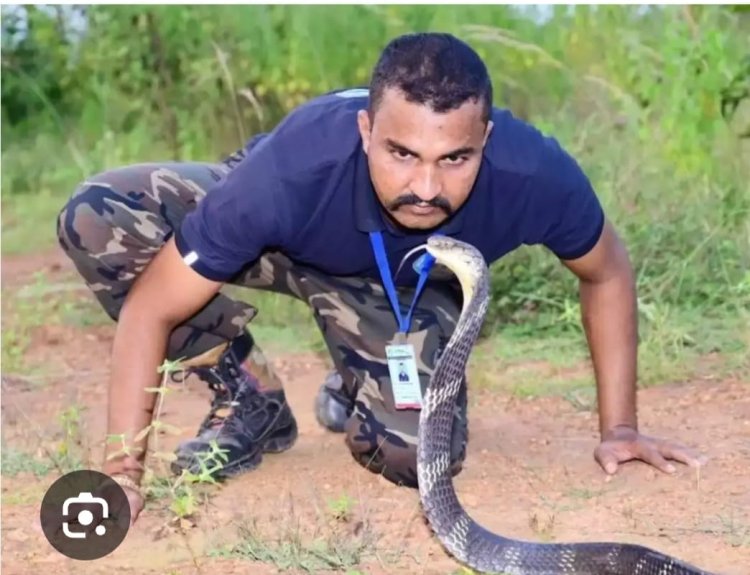 एम्बुलेंस-कार से गांजा तस्करी, सांप रेस्क्यू वाला निकला गांजा तस्करी का मास्टरमाइंड, महासमुंद में 8 करोड़ का गांजा जब्त