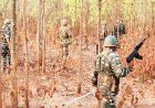 बीजापुर मुठभेड़ में 5 नक्सली ढेर, 4 दिन में 214 ठिकाने ध्वस्त
