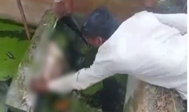 सेप्टिक टैंक में लोहे के संदूक से महिला का शव बरामद, क्षेत्र में फैली सनसनी