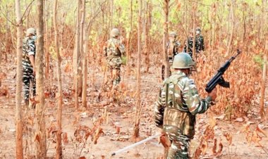 बीजापुर मुठभेड़ में 5 नक्सली ढेर, 4 दिन में 214 ठिकाने ध्वस्त