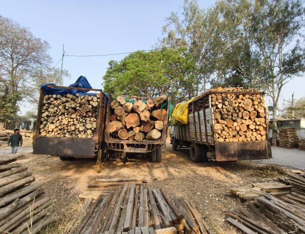 अवैध लकड़ी परिवहन पर बड़ी कार्रवाई, चार ट्रक जब्त