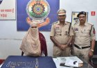 बेटी ने ही उड़ाए घर के गहने: 12 लाख का सोना बरामद