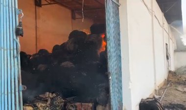 राइस मिल में भीषण आग, 20 गाड़ियों की मदद से 5 घंटे की मशक्कत के बाद पाया काबू