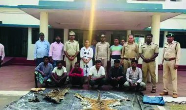 शिकार गिरोह का भंडाफोड़, बाघ-तेंदुए की खाल के साथ 8 आरोपी गिरफ्तार