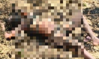 शादी से 10 दिन पहले लापता हुई युवती, खेत में जली हालत में मिला शव