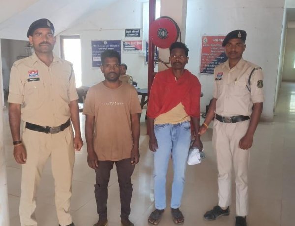 बलरामपुर में 2 करोड़ की एक और अवैध अफीम खेती का खुलासा, 1.47 एकड़ खेत से 18 क्विंटल अफीम जब्त, 2 आरोपी गिरफ्तार