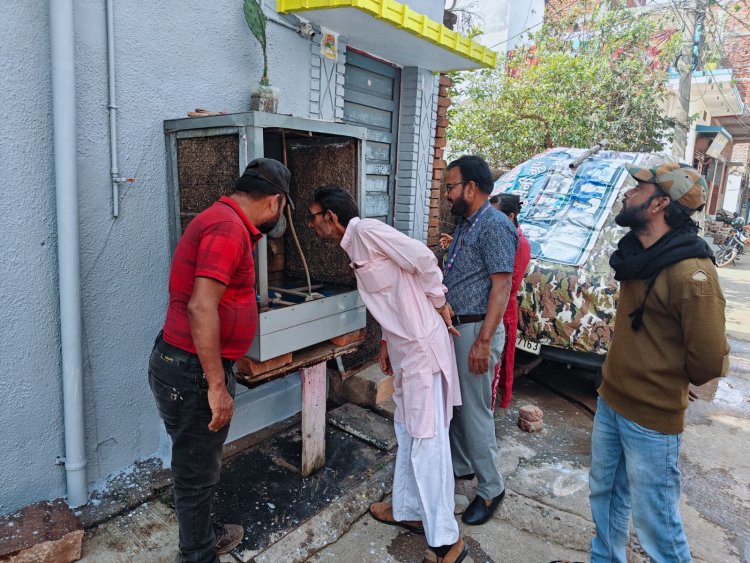 डेंगू और मलेरिया के विरुद्ध नगर निगम का महा-अभियान, अब तक 23 हजार से अधिक घरों का हुआ सर्वे